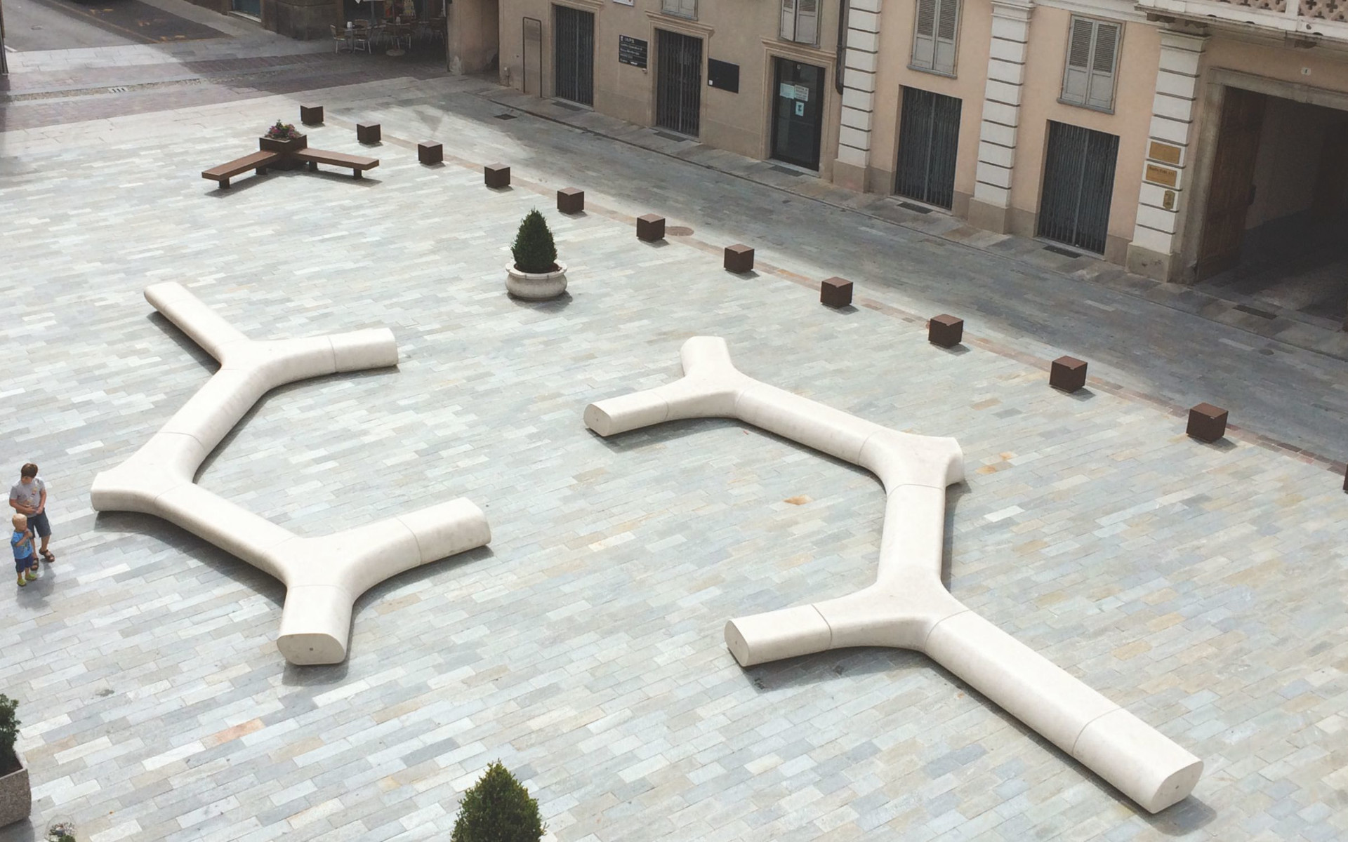 TREE LINE C-120  — Metalco